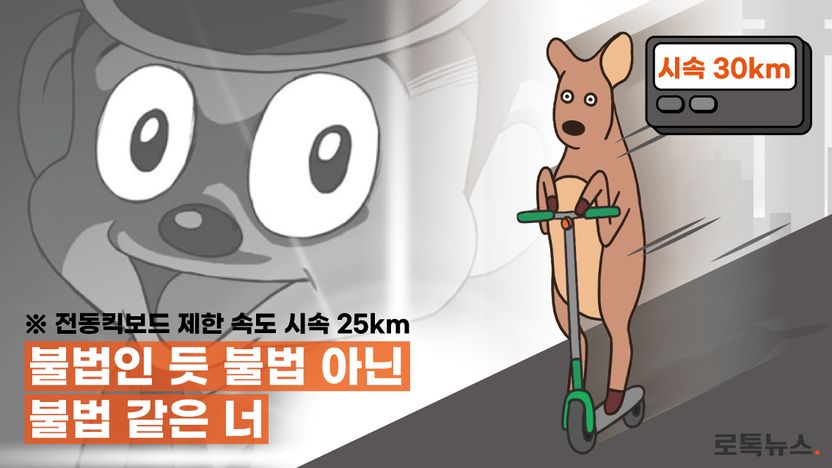 확실히 불법이지만 처벌은 못 한다? 전동킥보드 단속 '아이러니' 기사 관련이미지