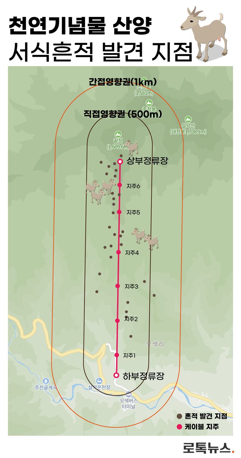 산양의 활동 반경과 케이블카의 소음이 영향을 미치는 지역을 표시한 지도. /조소혜 디자이너