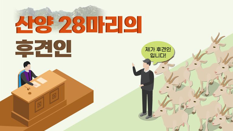 사람을 '산양'의 후견인으로 내세워 소송 장벽을 뛰어넘는 시도를 했다. /그래픽=조소혜 디자이너