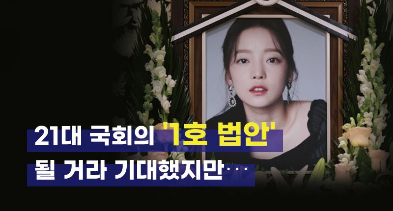 21대 국회 '1호 법안' 구하라법은 지금 어디에 있나 기사 관련이미지