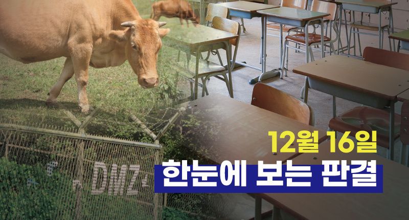 "멍청하다" 발언은 아동학대⋯12월 16일 한눈에 보는 판결 기사 관련이미지