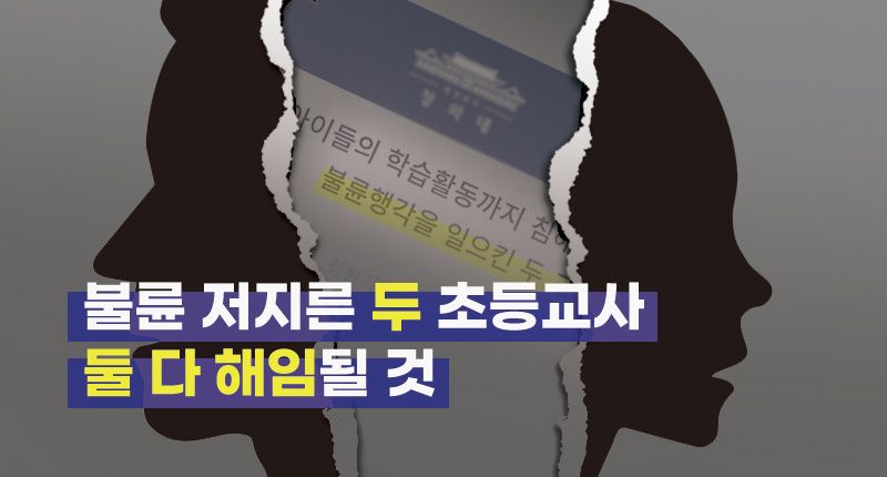 청와대 청원 올라온 '초등교사 불륜' 사건, 둘 다 교단에서 쫓겨난다 기사 관련이미지