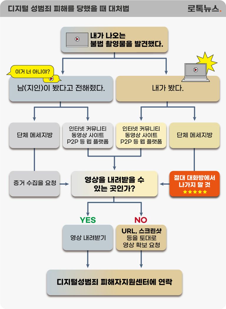 디지털성범죄 피해자지원센터 관계자가 말하는 디지털 성범죄 대처법을 정리해봤다. /그래픽 = 조소혜 디자이너