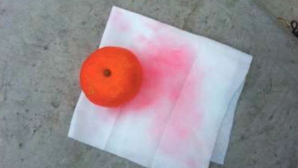 알몸 절임 배추에 이어 이번엔 염색 귤·염색 파, 국내 수입 가능성을 알아봤다 기사 관련이미지