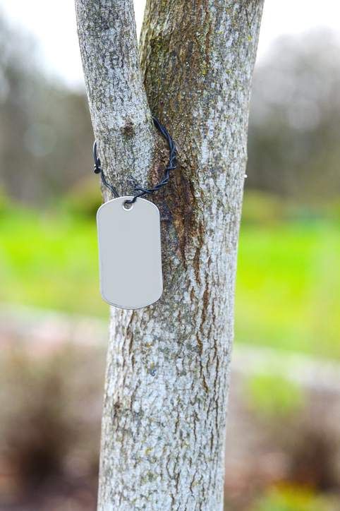 명인방법의 예시. /게티이미지코리아