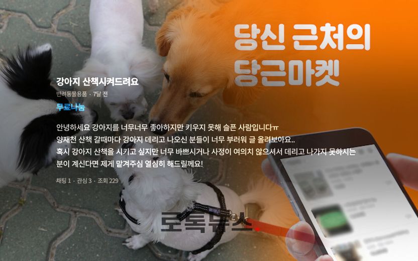 "반려견 산책, 제가 해보겠습니다" 했다가 물리면? 자발적으로 한 거니까 보상 못 받나 기사 관련이미지