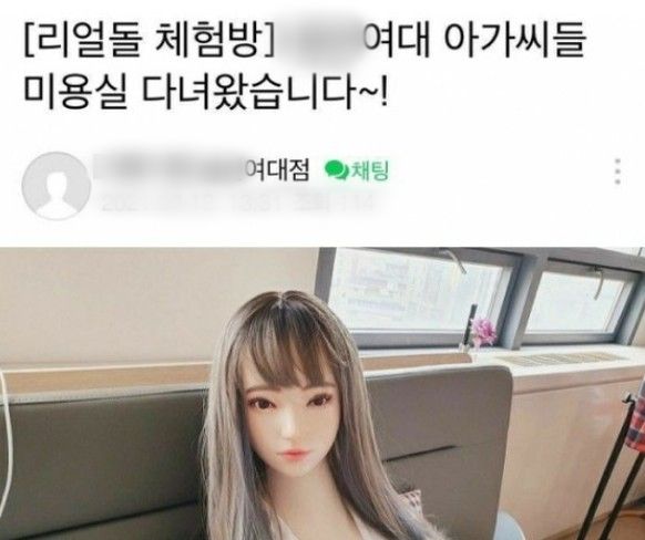 "XX여대 아가씨" 리얼돌 홍보⋯집단소송 제도 있었다면 업체는 100억 물었을 수도 기사 관련이미지