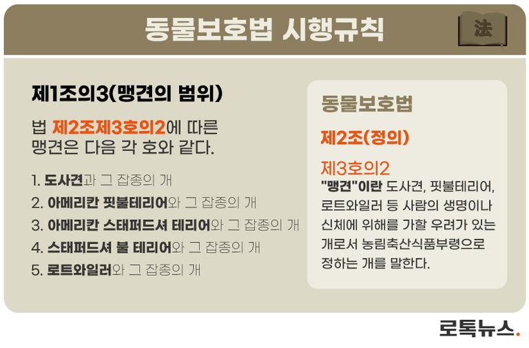 동물보호법과 동물보호법 시행규칙에 따른 '맹견'의 범위. /조소혜 디자이너