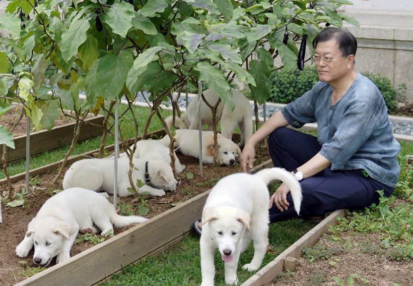 문 대통령, 퇴임 후 연금 월 1390만원씩 받는다…다른 대통령들은? 기사 관련이미지