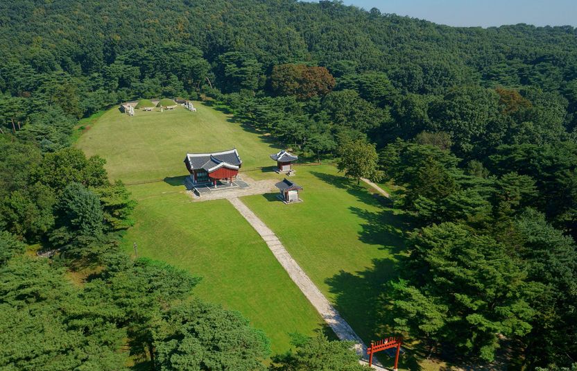 무허가 아파트 때문에 '유네스코 세계유산 등재' 취소돼도, 건설사는 책임지지 않을 것 기사 관련이미지