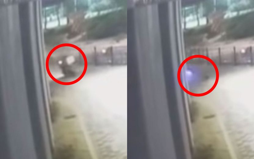 "개 소리에 놀라 넘어져" 견주에 3400만원 손해배상 건 오토바이 운전자, 그 근거는 기사 관련이미지