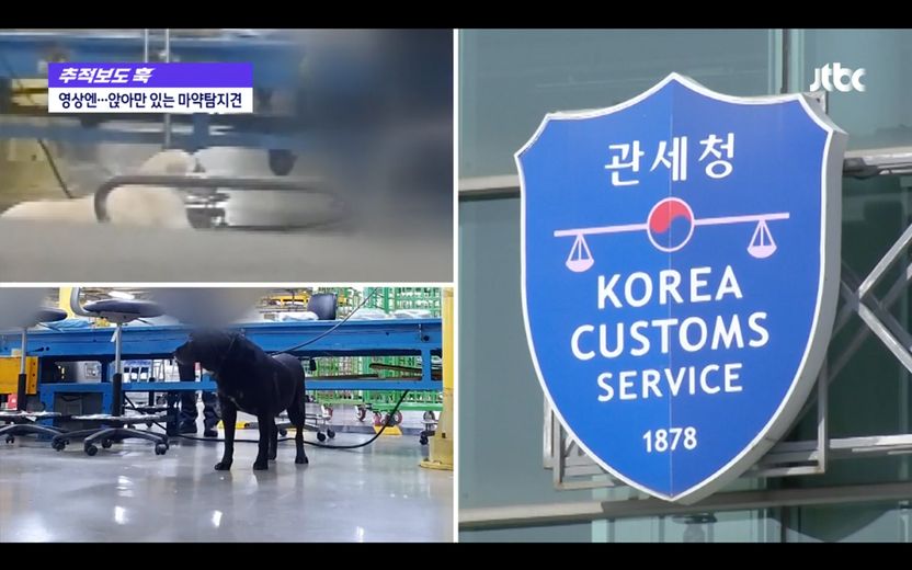 논란의 인천공항 세관 영상…우리가 보기엔 '직무유기'지만, 법이 보기엔 아니다 기사 관련이미지