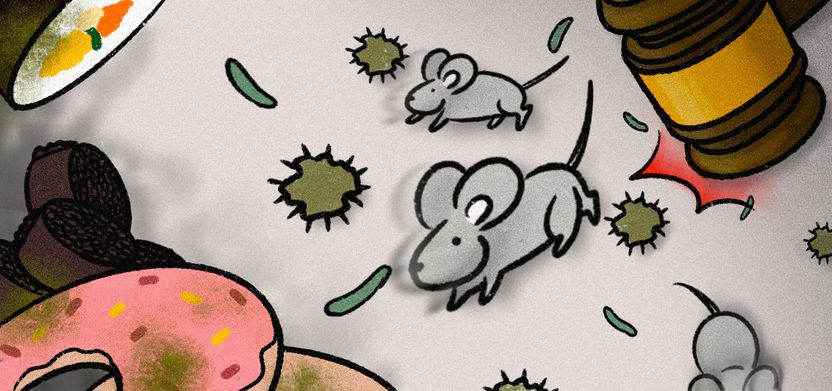 먹을 거로 장난치는 사람, 왜 안 사라질까? 기사 관련이미지