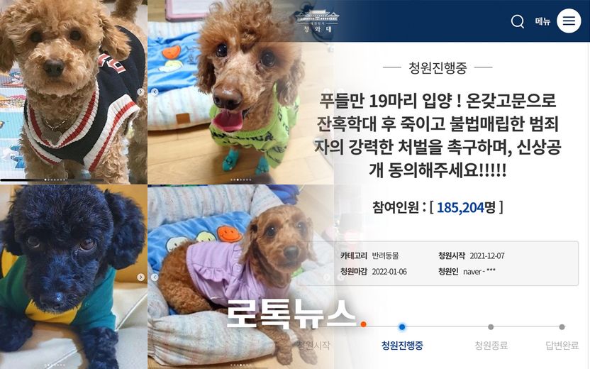 푸들 19마리 잔혹하게 학대하고 살해해도…신상 공개, '이것' 때문에 어렵다 기사 관련이미지