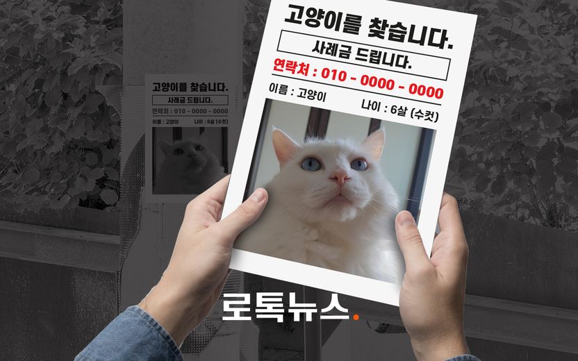 잃어버린 줄 알았던 나의 반려동물, 이웃집에서 키우고 있었다면? 민·형사상 대응법 기사 관련이미지