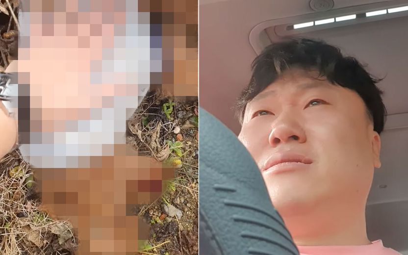 유기견 사체 땅에 묻은 '나는 솔로' 영철…이건 불법입니다 기사 관련이미지