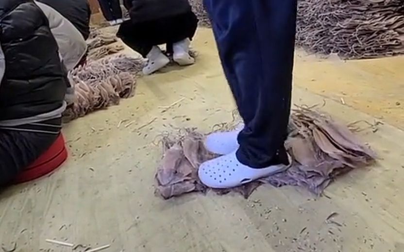 건조 오징어 신발로 '꾹꾹' 밟아도 과태료 70만원이 전부인 이유 있었다 기사 관련이미지