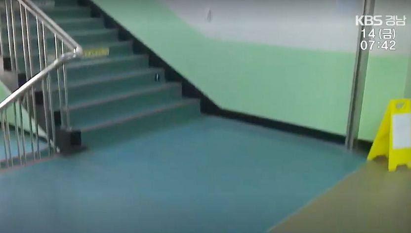 등교하던 초등생 방화 셔터에 끼어 뇌손상…행정실 직원들은 유죄, 학교장은 무죄 기사 관련이미지