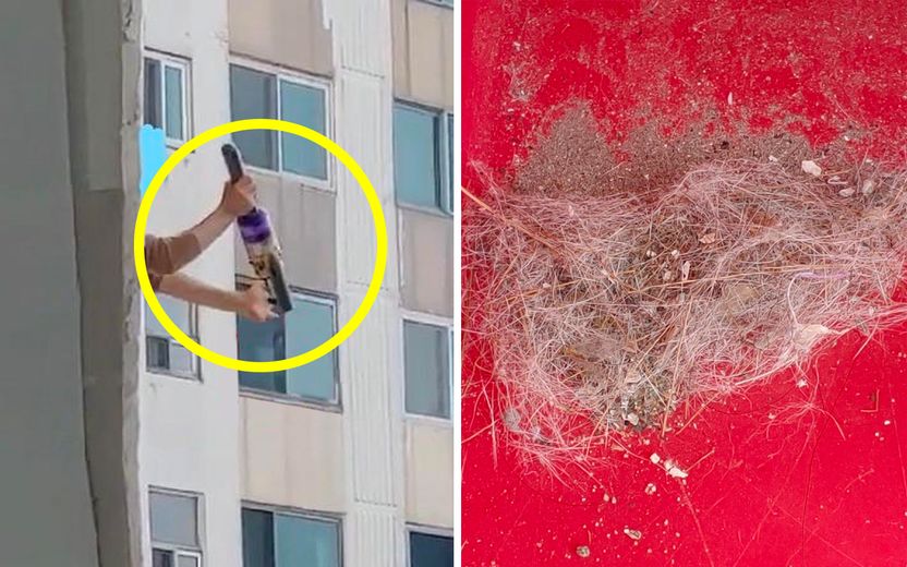 복도식 아파트 난간에서 개털 섞인 먼지 '탈탈' 털면 어떤 처벌 받을까? 기사 관련이미지
