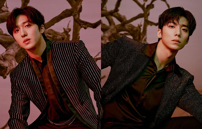 새벽까지 강남 술집서 생일파티 벌인 'SF9' 찬희⋅휘영…처벌 예상해보니 기사 관련이미지