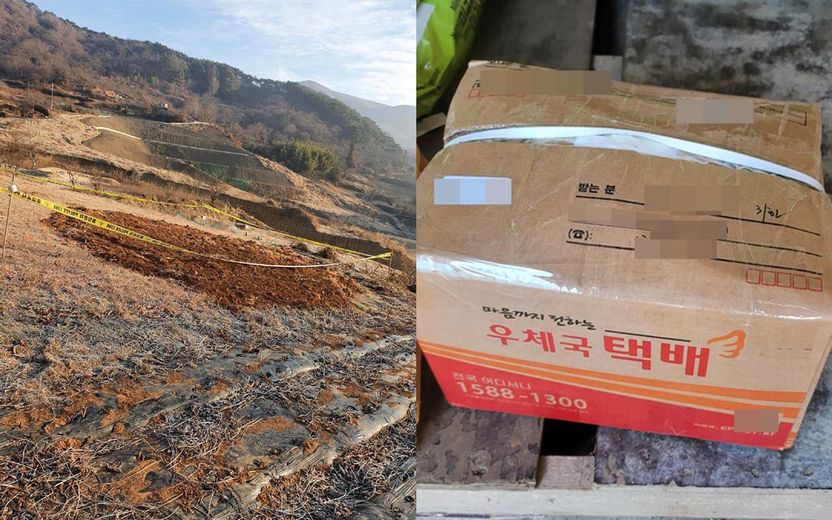 남의 묘 파서 유골 화장해 택배로 보내…형사처벌은 물론, 위자료 1000만원까지 물어야 기사 관련이미지