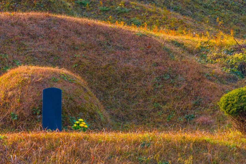 설 앞두고 사라진 아버지 묘⋯'불법 파묘' 허가한 공무원에게 책임 물을 수 있을까 기사 관련이미지