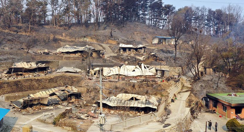 "저 자원봉사자인데요…" 산불 난리통 속에 빈집 털러 다닌 여성 체포 기사 관련이미지