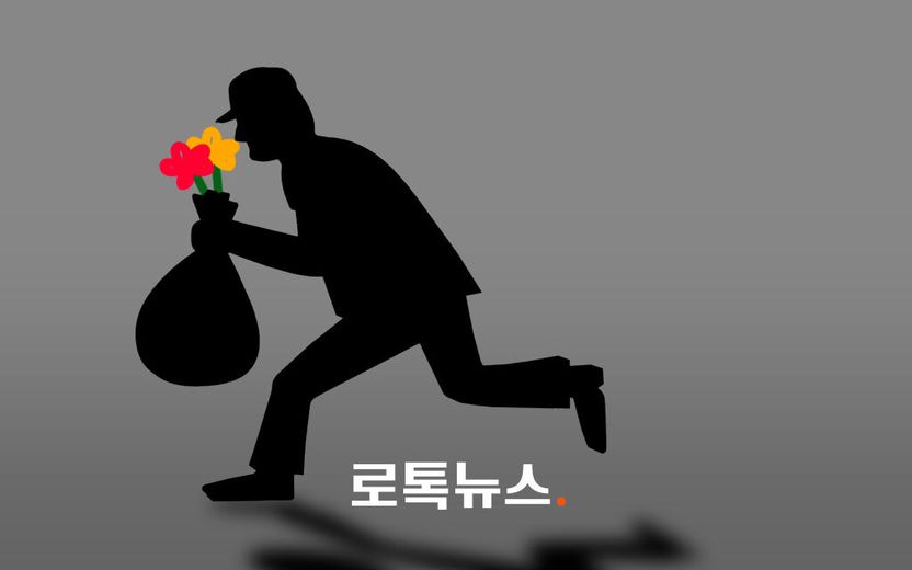 '꽃 도둑은 도둑이 아니다'라는 말은 옛말…엄연한 범죄입니다 기사 관련이미지