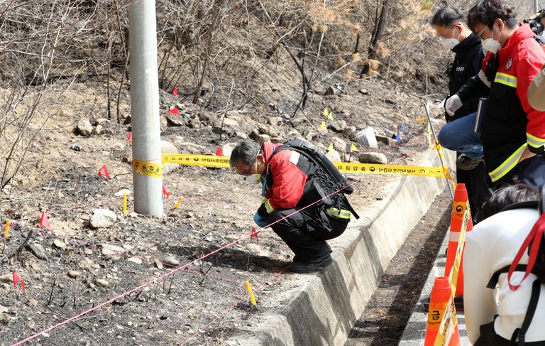 지난 16일 경북 울진군 북면 두천리 울진·삼척 산불 발화지점에서 울진군과 경찰, 국립과학수사연구원, 산림청 관계자가 화재 원인 규명을 위해 합동으로 감식하고 있다. /연합뉴스