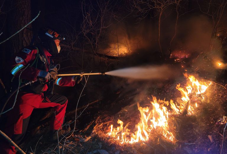 지난 11일 저녁 산불 진화 헬기가 철수함에 따라 인력을 중심으로 진화에 나섰다. /산림항공본부 제공