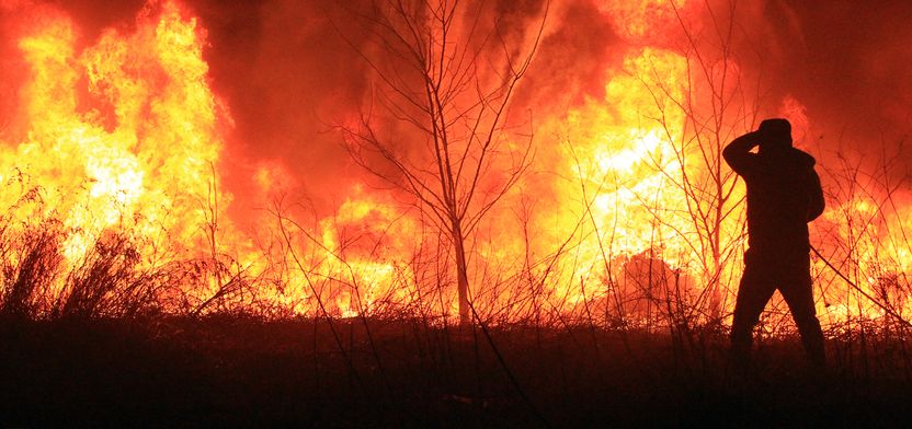 213시간 만에 꺼진 동해안 산불…불 낸 사람 잡아도, 피해 수습 비용은 고스란히 국민 몫 기사 관련이미지