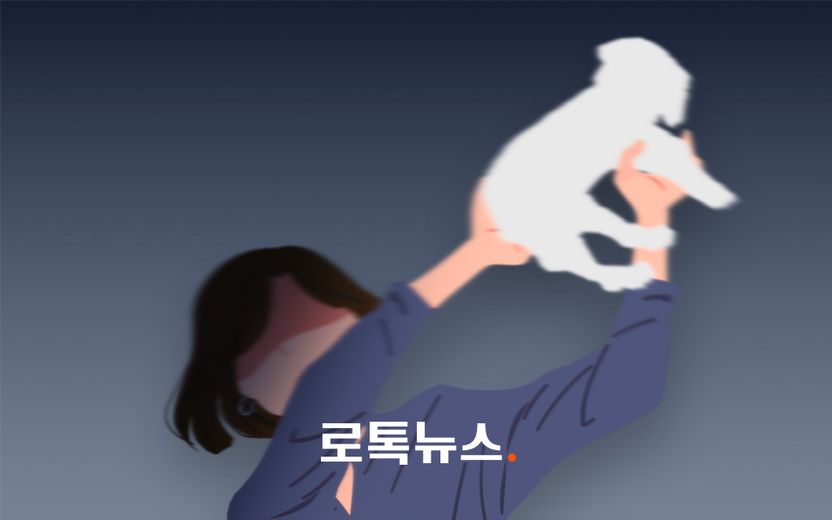 반려견 동호회에서 만난 남편의 이혼 통보에…아내는 11층에서 반려견을 던졌다 기사 관련이미지
