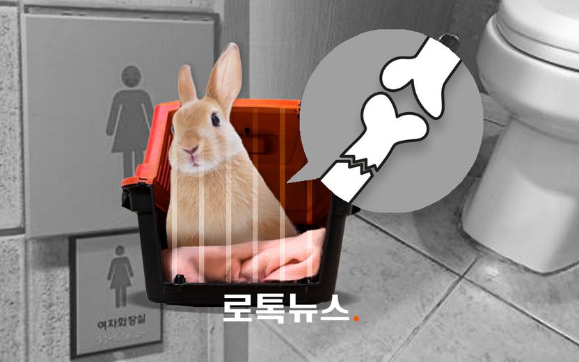 다리 부러졌다고…지하철 화장실에 열흘 기른 토끼 버린 20대 기사 관련이미지