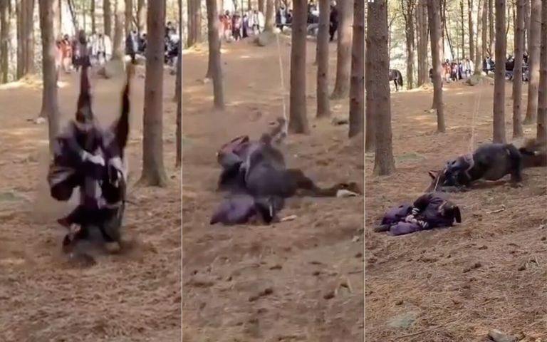 드라마 낙마 장면 촬영에 동원된 퇴역 경주마 까미는 힘차게 달리는 와중에 제작진에 의해 고꾸라졌다. 그리고 이로부터 일주일 뒤 까미는 죽었다. /동물자유연대 인스타그램 캡처·편집=조소혜 디자이너