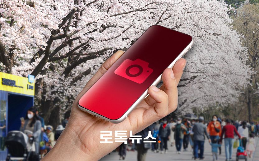 "벚꽃 찍었다"던 20대 남성의 휴대전화엔 꽃 대신 이런 사진이… 기사 관련이미지