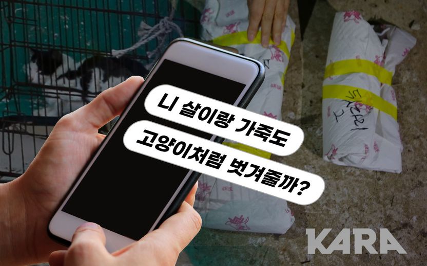 제보자 협박한 포항 폐양식장 고양이 학대범…"보복협박까지 더해져 처벌 올라갈 듯" 기사 관련이미지