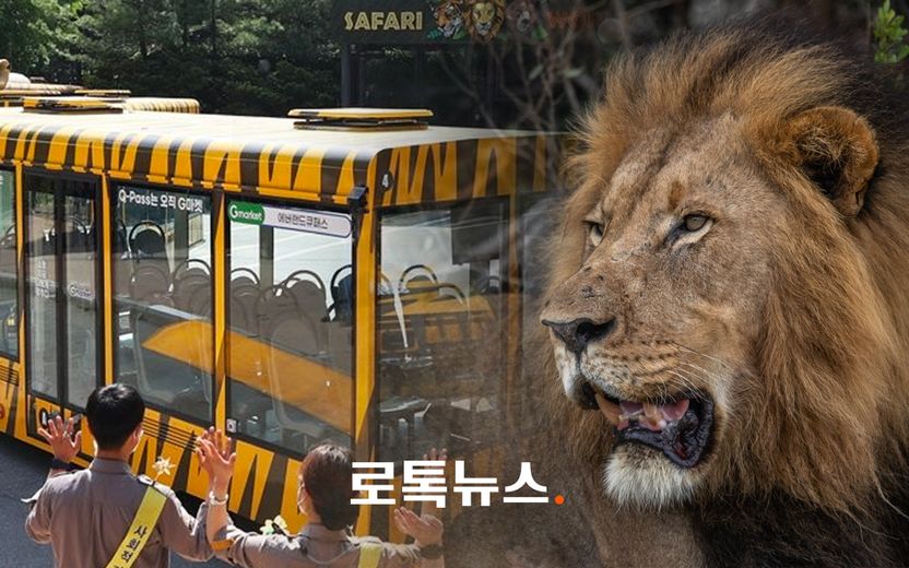 사자와 '쿵' 트램 출입문 '와장창'…에버랜드 공포의 사파리, 티켓 환불로 끝날 일 아니다 기사 관련이미지
