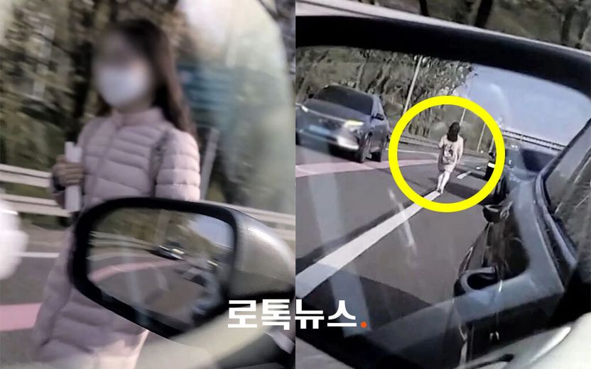 "귀신인 줄" 책 들고 올림픽대로 한복판을 걸어가는 여성…사고 나면 누구 책임? 기사 관련이미지