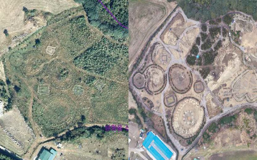 축구장 8개 면적을…'제주 역대 최대' 산림 훼손 50대 남성, 결국 구속 기사 관련이미지