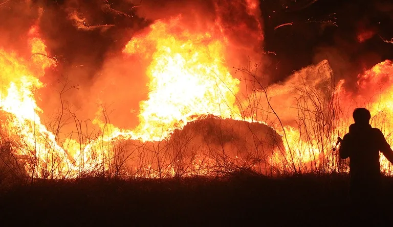 강릉·동해 불태운 토치 방화범, 재판서 "대형산불 의도 안 해"…검찰은 15년 구형 기사 관련이미지
