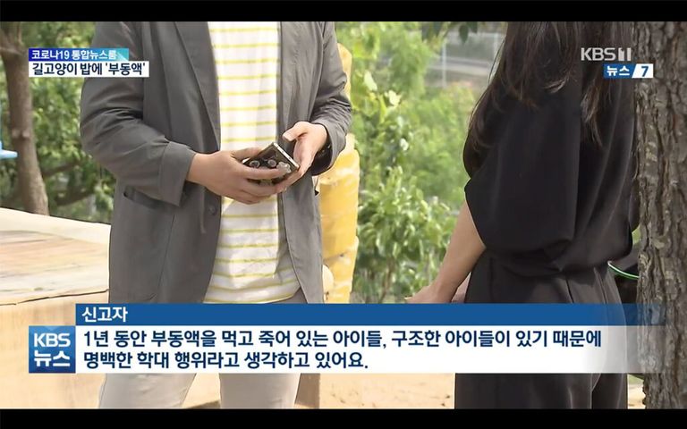 쉼터에서 부동액을 먹고 죽은 고양이들이 발견되면서 경찰 신고가 이뤄졌다. 한 신고자는 이를 A씨의 학대 행위 때문이라고 주장했다. /KBS 캡처