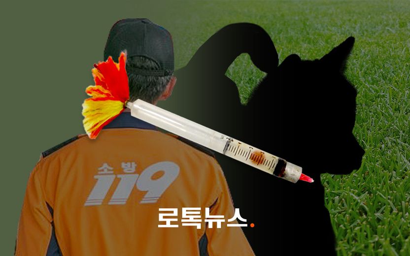 목줄 풀린 반려견이었는데…'과다 용량' 마취총 쏴 죽었다면, 그 책임 소방대원이 져야 할까 기사 관련이미지