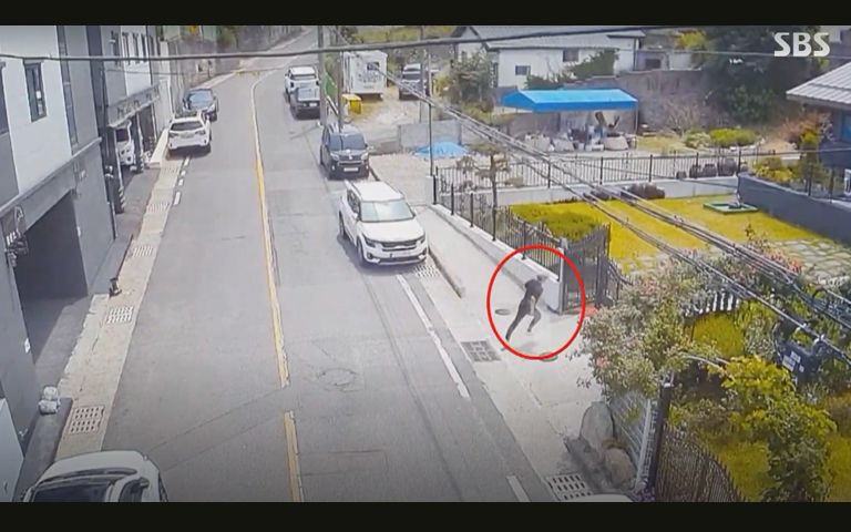 담배 냄새 맡은 경찰관의 '촉', 숨어있던 음주 뺑소니범 잡았다 기사 관련이미지