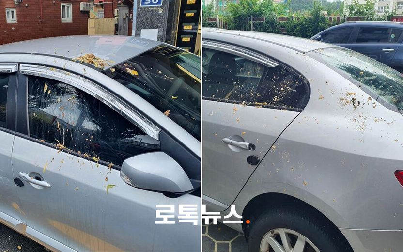 남편에 대한 분노 애먼 이웃 차에 푼 여성⋯고의 아니었다고 해도, 책임지게 될 것 기사 관련이미지