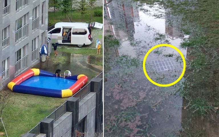 이 사건 A씨가 수영장을 철거하는 과정에서 대량의 물을 한꺼번에 처리하는 바람에 하수구가 막히고, 잔디밭이 물바다가 되기도 했다. /온라인커뮤니티 캡처