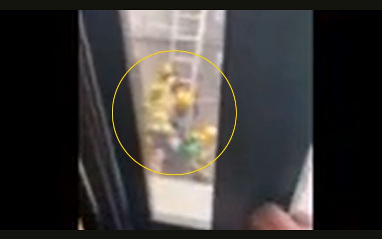 게임하다가 인터넷 끊기자…그녀는 가위 들고 빌라 외벽을 탔다 기사 관련이미지