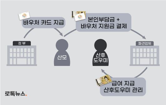 국가 지원 사업임에도 불구하고 정부의 역할은 바우처 카드를 제공하는 수준에 그친다.