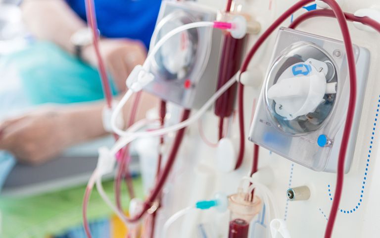 투석 환자에 이물질 넣은 간호사, 예비 신부 성폭행한 형제…이렇게 잡았다 기사 관련이미지