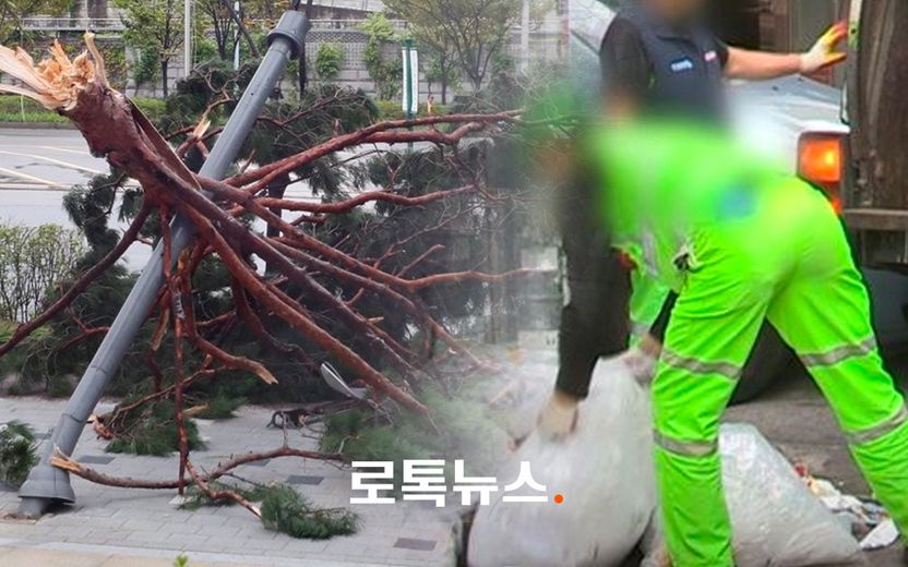 태풍 속 지시받은 업무 하다 사망한 환경미화원…변호사들 "구청 책임 인정될 것" 기사 관련이미지
