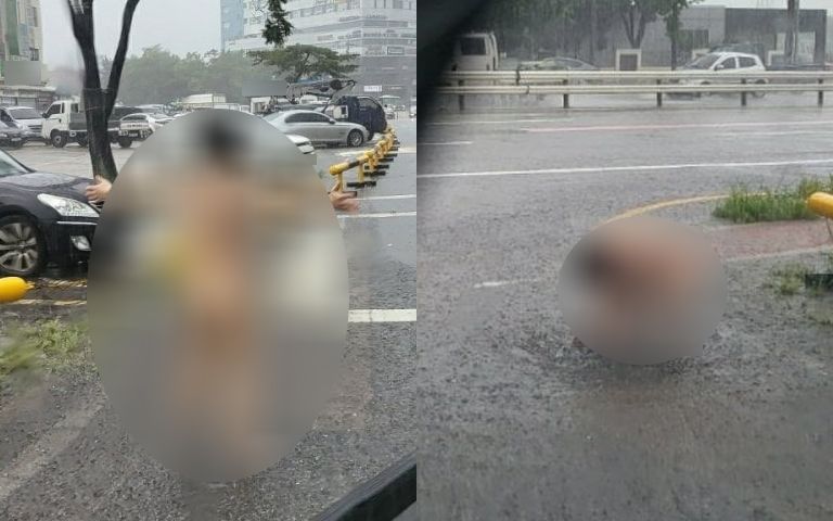 폭우 속 나체로 '빗물 샤워'한 40대 남성…왜 공연음란죄 아닐까? 기사 관련이미지